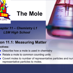 Chemquest 42 moles and reactions