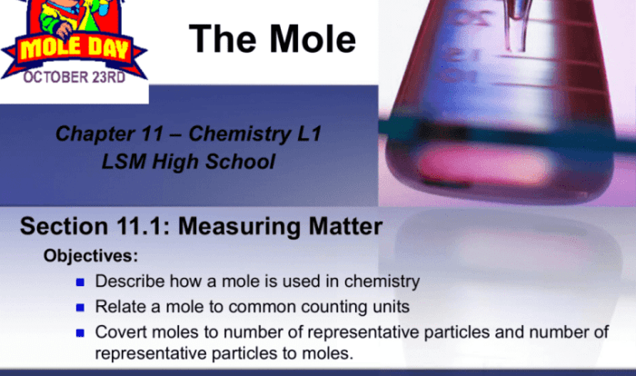 Chemquest 42 moles and reactions