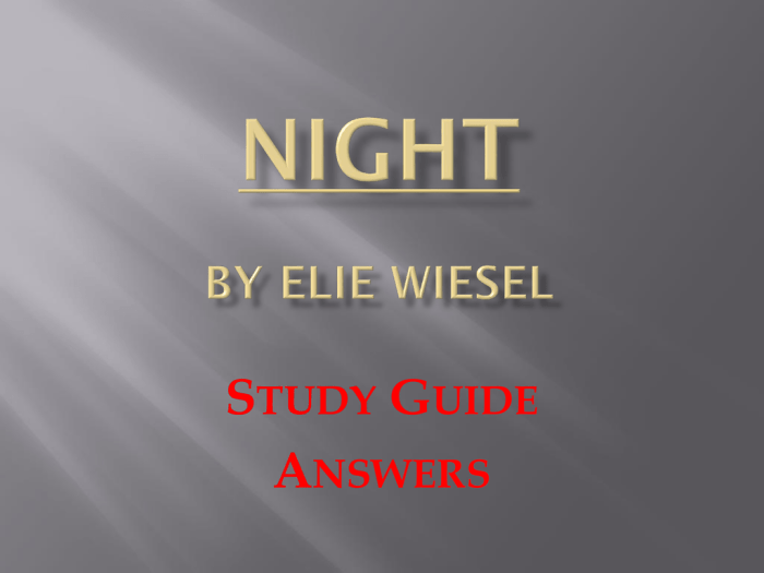 Questions to ask about night by elie wiesel