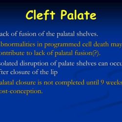 Cleft lip palate hesi