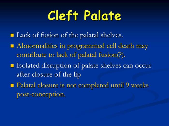 Cleft lip palate hesi