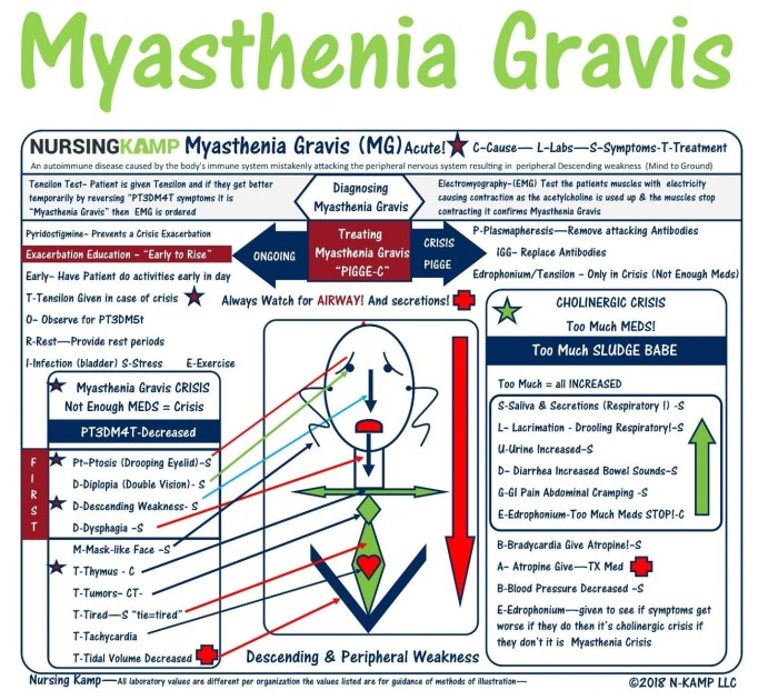 Nclex questions on myasthenia gravis