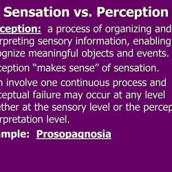 Sensation and perception 11th edition