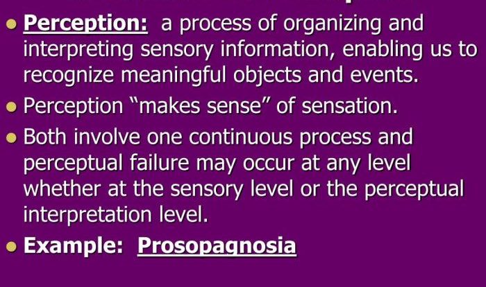 Sensation and perception 11th edition