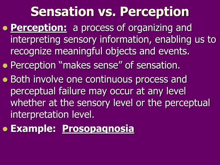 Sensation and perception 11th edition