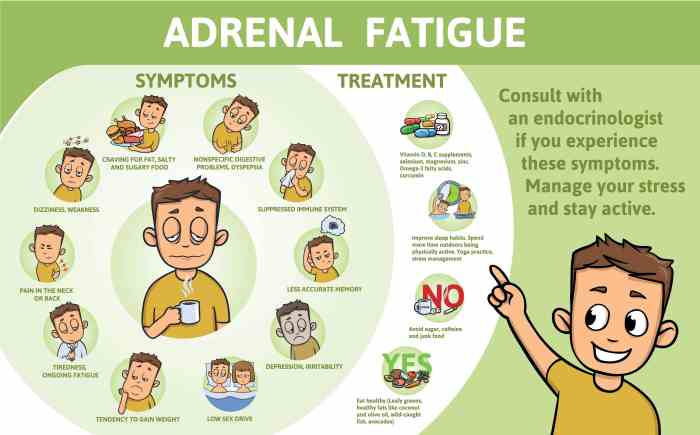 Adrenal glands gland hormones adrenals